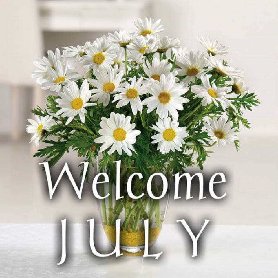 Happy New Month Lively Stones Family: July Is About Freshness & Growth!