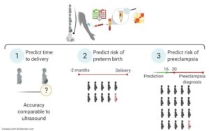 A 26-year-old Stanford grad student created a simple test to predict which pregnancies are likely to become premature deliveries