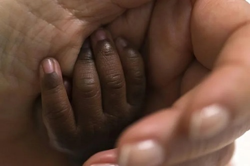 Mali woman gives birth to nine babies: government