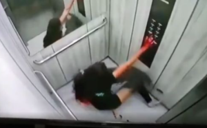 Woman mauled by her own pit bull in elevator