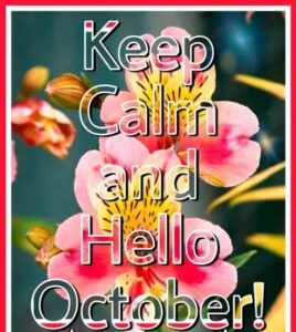100+ Happy New Month Wishes and Messages For October