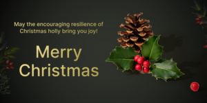 100+ Merry Christmas Wishes, Messages and Greetings